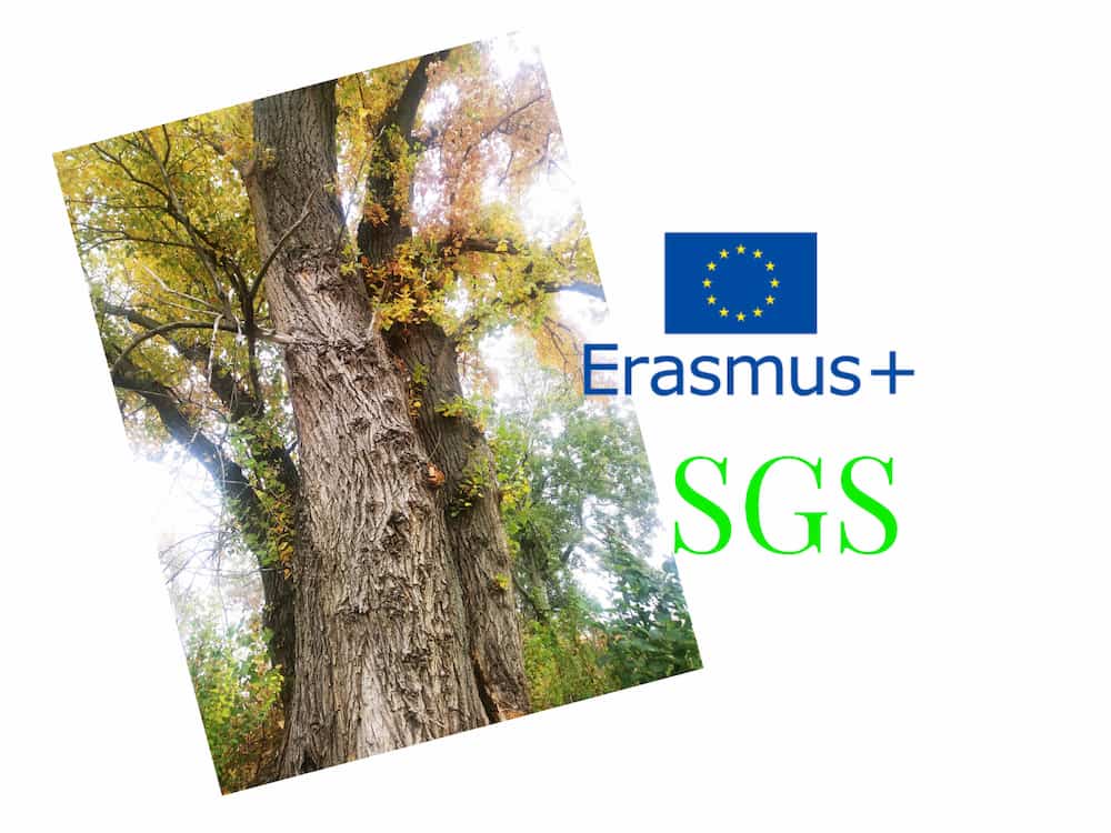 Erasmus+ News / Erasmus+ hírek